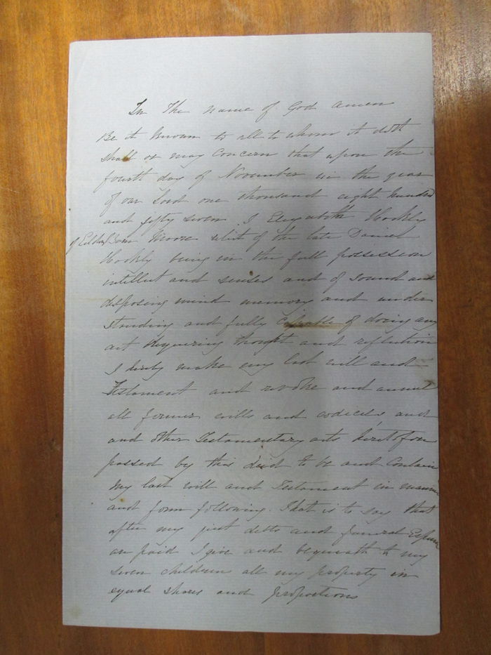 Pringles Writing The Wills of Elizabeth Hockly and Dods Pringle | Whites Writing Whiteness
